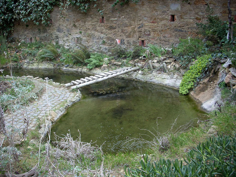 Il Laghetto del Centro di Entomologia - Piombino (LI)